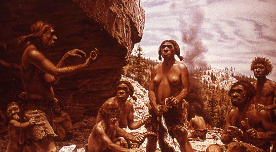 Imagen de De los neandertales al COVID-19