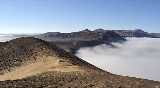 Imagen de El universo oculto del desierto