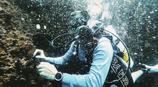 Imagen de Expediciones oceánicas hacia lo desconocido