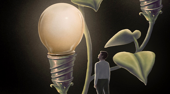 Imagen de La idea del cerebro