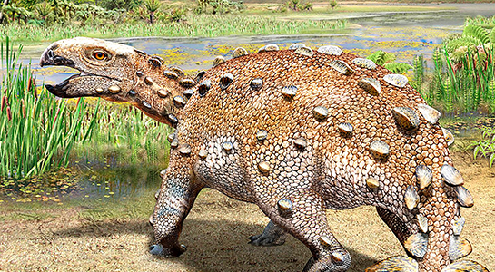 Imagen de ¡Descubriendo dinosaurios en Chile!