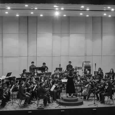Orquesta Filarmónica Alimapu