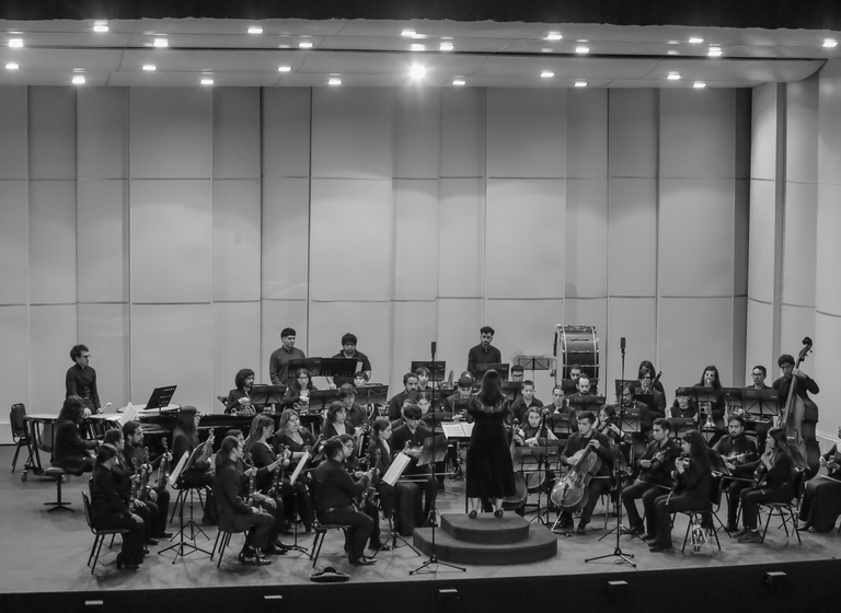 Imagen Orquesta Filarmónica Alimapu